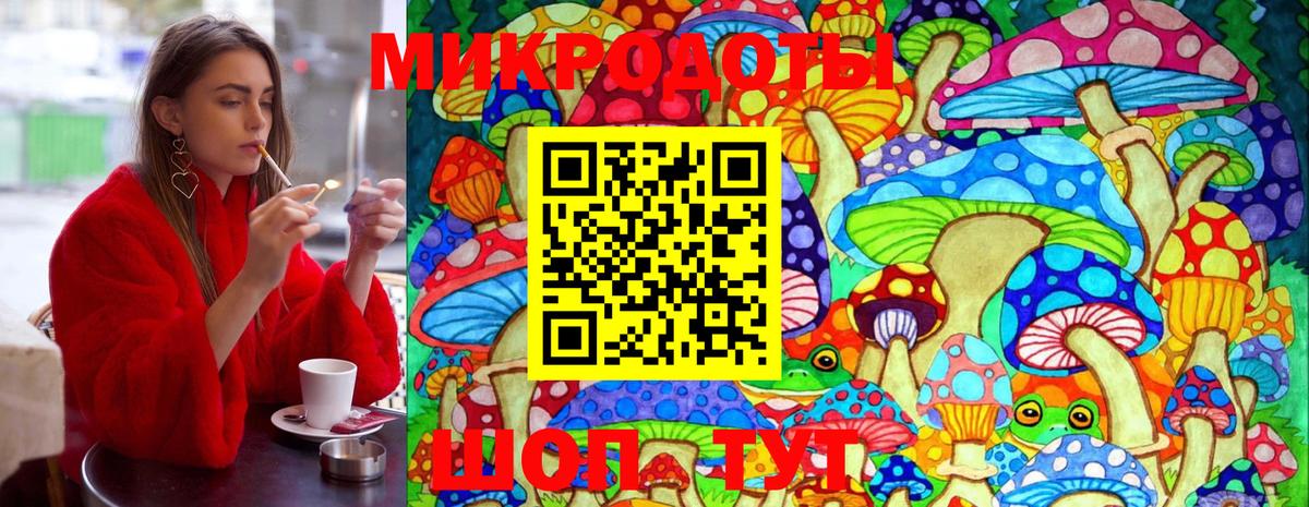 продажа наркотиков  Вход с VPN  Печора  Галлюциногенные грибы мицелий 